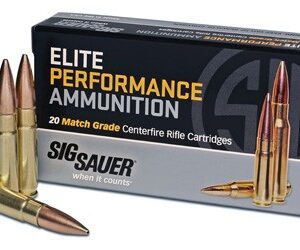 SIG 300 AAC 125GR OTM 20RD - 25BX/CS