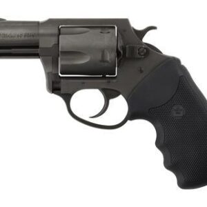 Charter Arms Pitbull Nitride .40 S&W 5 Shot 2.3" Barrel Full Grip