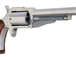 NAA "THE EARL" MINI-REVOLVER - COMBO 22LR/22WMR 3" SS WOOD