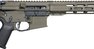 RISE WATCHMAN XR AR-15 RIFLE - 22 ARC 18" PATRIOT BROWN 10RD