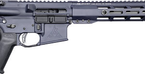 RISE WATCHMAN XR AR-15 RIFLE - 22 ARC 18" SNIPER GREY 10RD