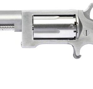 NAA SIDEWINDER 2.5" BRL 22MAG MINI REV