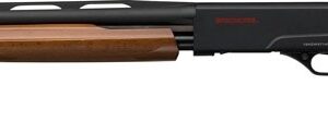 WINCHESTER SXP YOUTH 12GA 3" - 24"VR MATTE BLACK/WALNUT