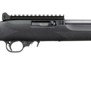 RUGER 10/22 CARBINE 22LR BL/HOGUE